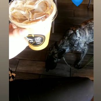 Chai Coffee Co - Iced vanilla latte - Coffee & Tea Near Me - Yucaipa, California