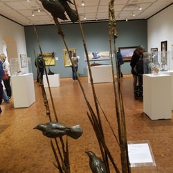 Leigh Yawkey Woodson Art Museum - Birds!