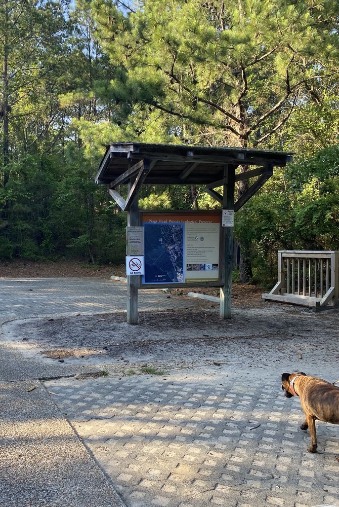Nags Head Woods Ecological Preserve