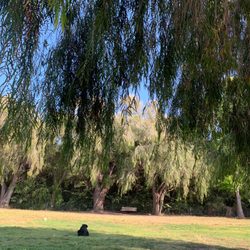 Tabano Hollow Open Space - Calm afternoon