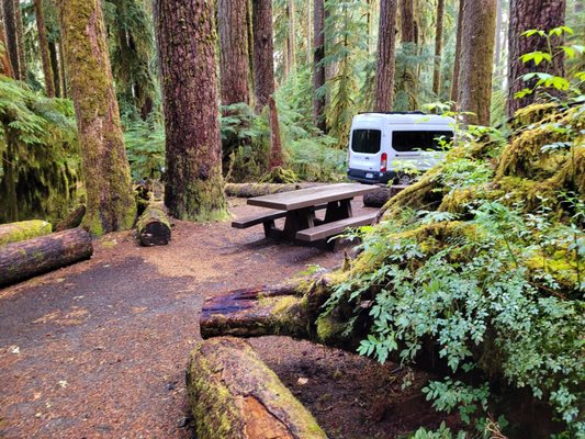 Sol Duc Hot Springs Resort by null