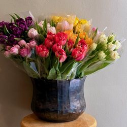 Petalos Floral Design - Tulips from Petalos Floral Design in Uptown Kingston, NY!