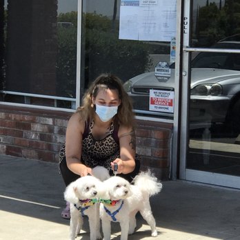 Cuts N Cuddles - Close up. - Pet Groomers Near Me - Simi Valley, California
