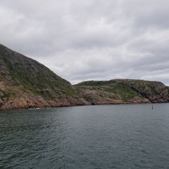 Iceberg Quest Ocean Tours - Tours Near Me - St John's, Newfoundland and Labrador Iceberg Quest Ocean Tours - Tours Near Me - St John's, Newfoundland and Labrador