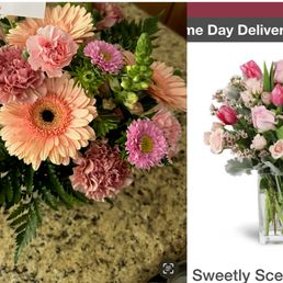 What I ordered vs. what I got!