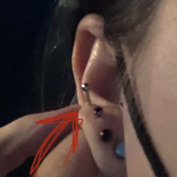 Studio X Tattoo - Stem way too long for piercings. Causing pain and piercings is taking longer to heal. - Piercing Near Me - Vancouver, Washington