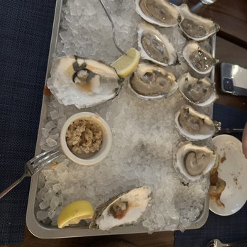 Wicked Butcher - Fresh Shucked Oysters Dinner - Bars Near Me - Fort Worth, Texas Wicked Butcher - Fresh Shucked Oysters Dinner - Bars Near Me - Fort Worth, Texas