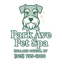 Park Ave Pet Spa