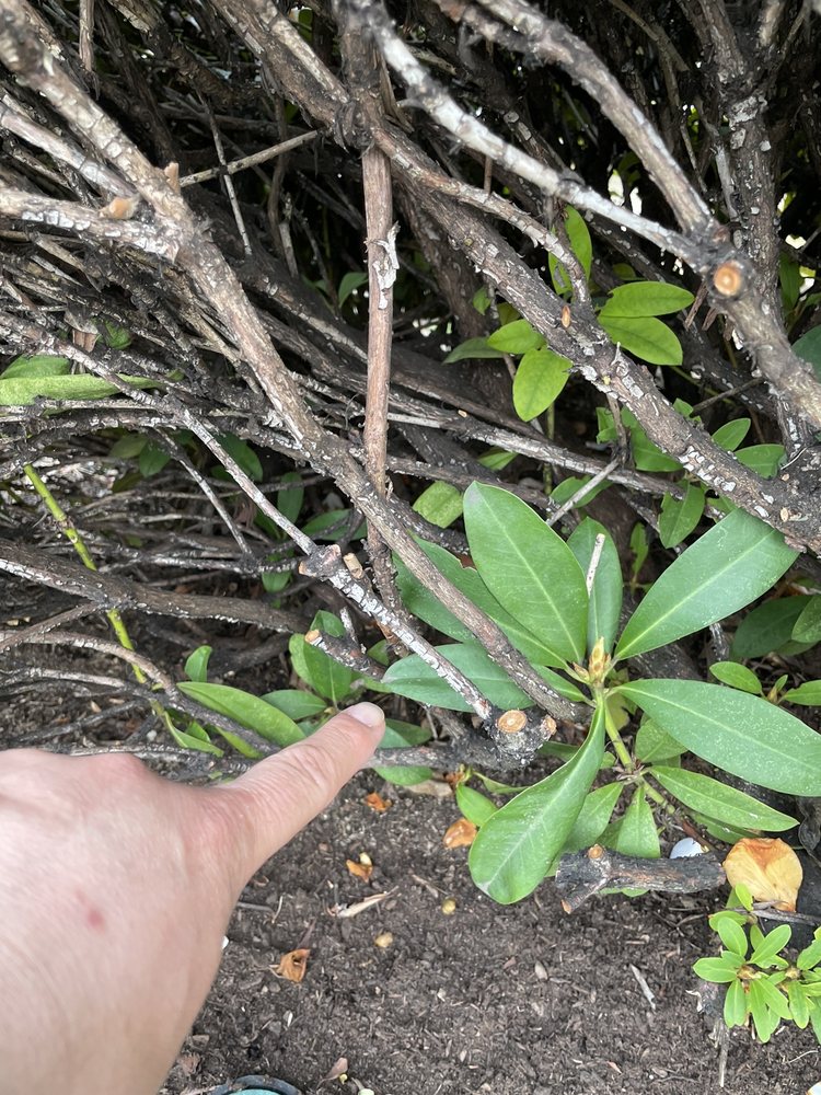 Slide of Northwest Backflow Inspection and Testing Services