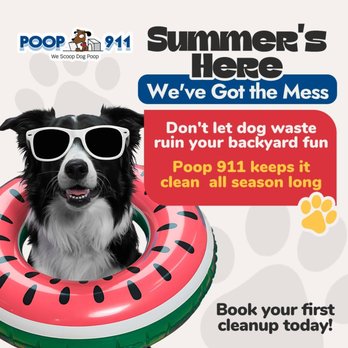 Poop 911 - Dog Walkers Near Me Poop 911 - Dog Walkers Near Me