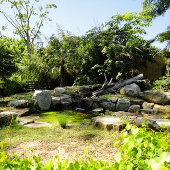 Birmingham Zoo - Zoos Near Me - Birmingham, Alabama
