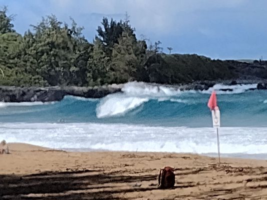 D.T. Fleming Beach Park by null