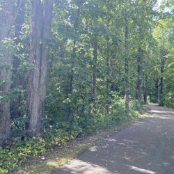 Willow Metro Park - There were some nice shady sections