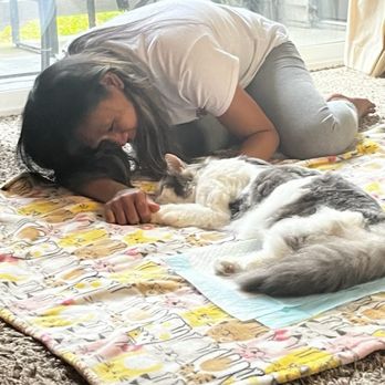 Furever Loved - Saying Goodbye to My Baby Gray! - Veterinarians Near Me Furever Loved - Saying Goodbye to My Baby Gray! - Veterinarians Near Me