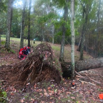 Top Line Tree Service - Tree Services Near Me