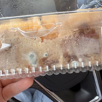 Le Gateau Elegant - This is the bread pudding that I bought with mold on it - Bakeries Near Me - Walnut Creek, California Le Gateau Elegant - This is the bread pudding that I bought with mold on it - Bakeries Near Me - Walnut Creek, California