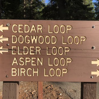Pinecrest Campground - Parks Near Me - Pinecrest, California
