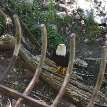 Pueblo Zoo - Zoos Near Me - Pueblo, Colorado