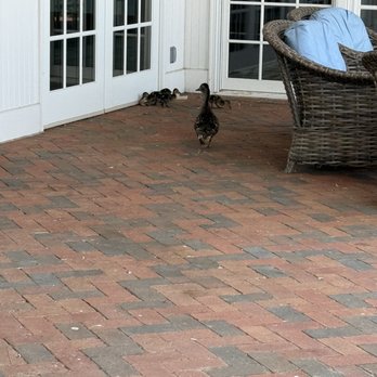 Pier Park - Mama duck and babies - Parks Near Me - Grosse Pointe Farms, Michigan Pier Park - Mama duck and babies - Parks Near Me - Grosse Pointe Farms, Michigan