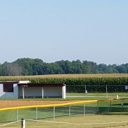 Lewisville Community Park - baseball diamond