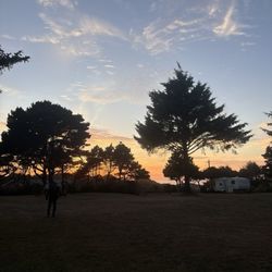 Honey Bear by the Sea RV Resort and Campground