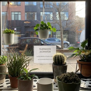 Stonefruit Espresso + Kitchen - Cafes Near Me - Brooklyn, New York