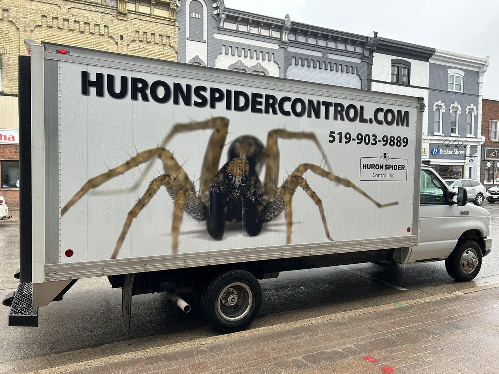 HURON SPIDER CONTROL Updated August 2024 HuronKinloss, Ontario