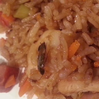China Boy Bakery - This place got good reviews. .. we decide to give it a try.... BIG mistake. .. cockroach in our fried rice. - Chinese Near Me - Montebello, California China Boy Bakery - This place got good reviews. .. we decide to give it a try.... BIG mistake. .. cockroach in our fried rice. - Chinese Near Me - Montebello, California