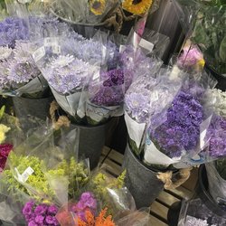 Harris Teeter - Beautiful