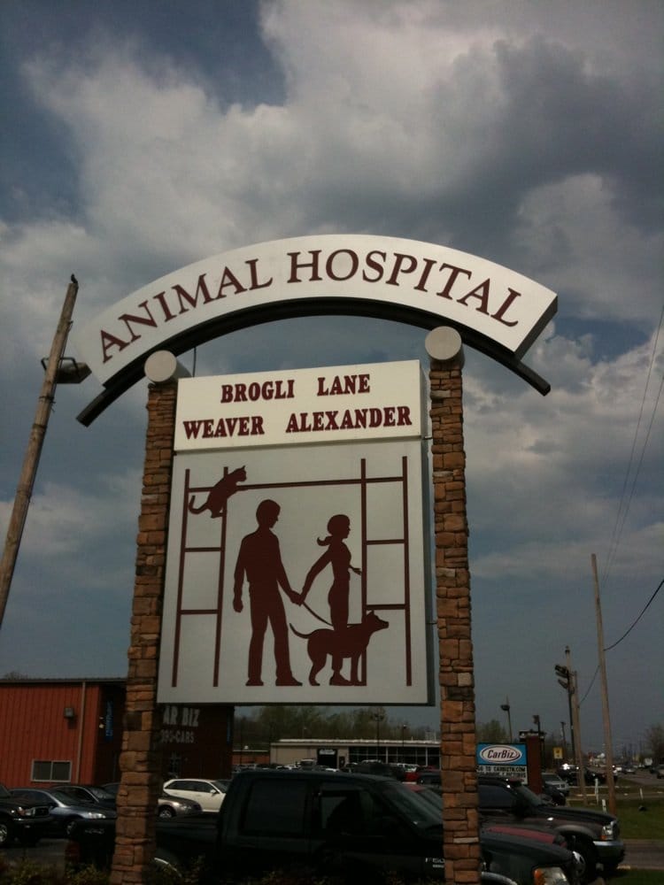 Brogli Lane Weaver & Alexander Animal Hospital - pet boarding facility in Murfreesboro, TN