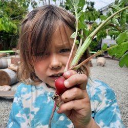 The Mulberry Tree - Harvest from our garden