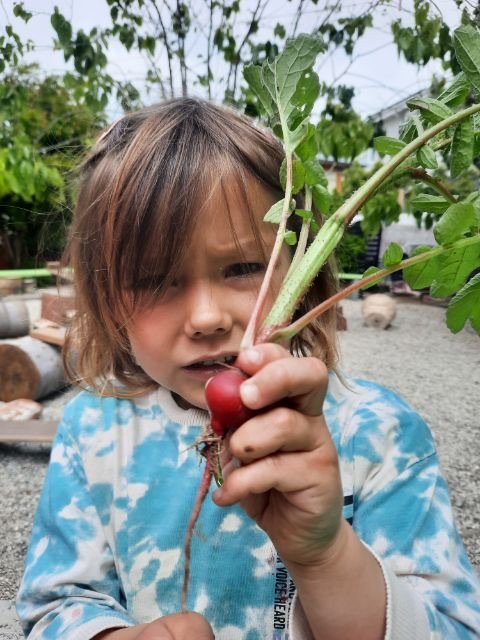 The Mulberry Tree - childcare center in Santa Monica, CA
