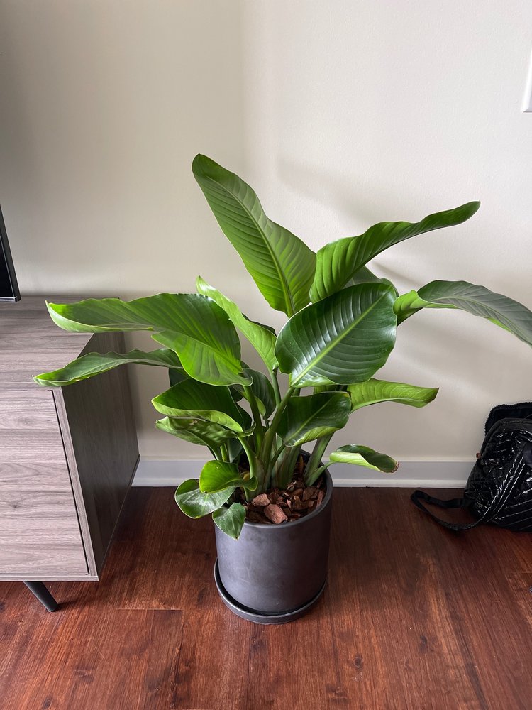 COLONIAL NURSERY Updated October 2024 161 Photos & 16 Reviews