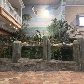 Bass Pro Shops - Fish tank - Sporting Goods Near Me - Islamorada, Florida Bass Pro Shops - Fish tank - Sporting Goods Near Me - Islamorada, Florida