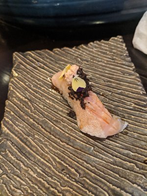 Purple Shell Boston by null