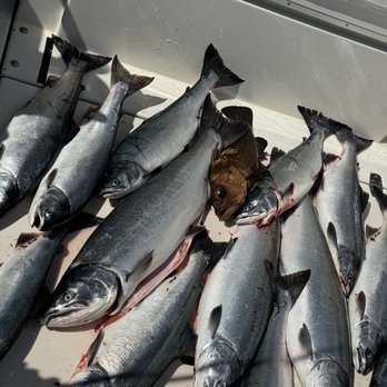 Campbell's Fishing Charters - Boat Charters Near Me - Ketchikan, Alaska