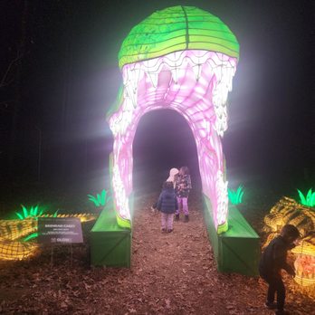 Connecticut's Beardsley Zoo - Lantern lights Fall 2024 - Zoos Near Me - Bridgeport, Connecticut