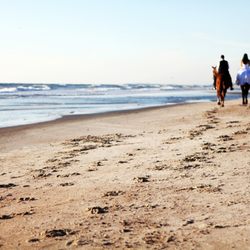 Sand Dollar Vacation Rentals and Property Management