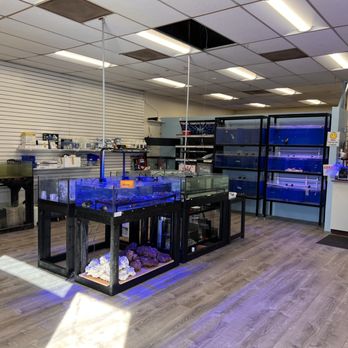 Gio Marine - Local Fish Stores Near Me - Dublin, California