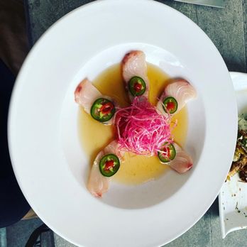 Chucks Fish - Tuna and jalapeño appetizer. Excellent - Sushi Bars Near Me - Mobile, Alabama