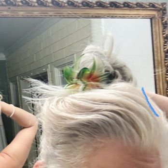 Flowers Salon - Blow Dry/Out Services Near Me - Walnut Creek, California