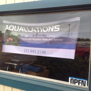 Aquallations - Aquarium Services Near Me - Traverse City, Michigan Aquallations - Aquarium Services Near Me - Traverse City, Michigan