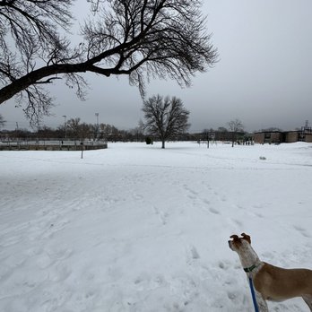 Nelson Park - Great for dog walks - Skating Rinks Near Me - St. Louis Park, Minnesota Nelson Park - Great for dog walks - Skating Rinks Near Me - St. Louis Park, Minnesota