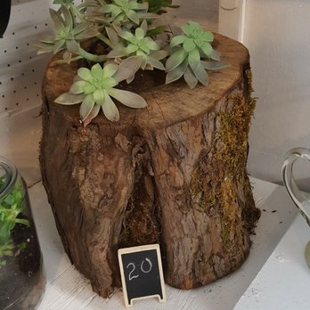 Salem Public Market - Cute decorative plants at the Salem Public Market! - Public Markets Near Me - Salem, Oregon