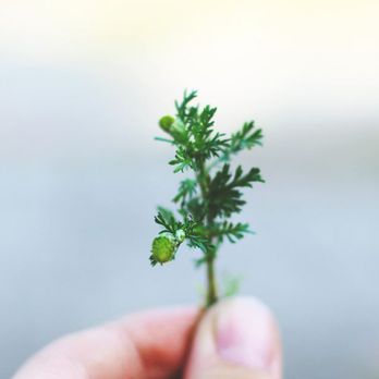 NAUAK Able Hands - Responsive, Reliable, and Reasonably Priced. - Landscaping Near Me