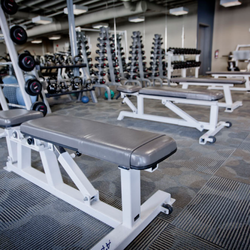 GYMVMT - Macleod - Free weight section