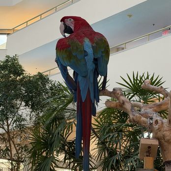 Hyatt Regency Grand Cypress Resort - Hotels Near Me - Orlando, Florida