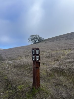 Taylor Mountain Regional Park by null