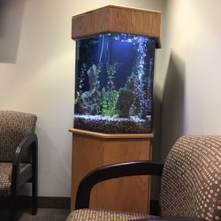 Endodontic Specialists - Obligatory dental office aquarium.