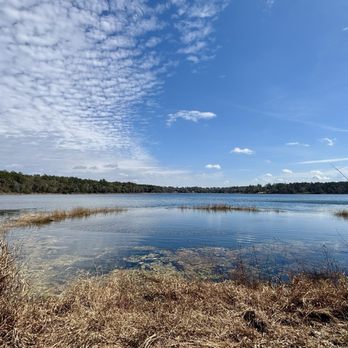 Alfred B  Maclay Gardens State Park - Parks Near Me - Tallahassee, Florida